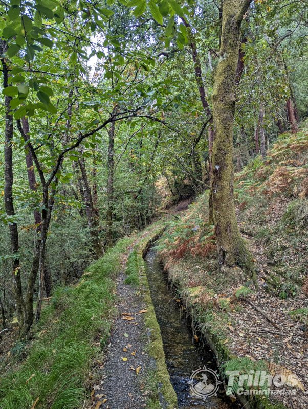 Trilhos dos Soutos e Levada de Canadelo