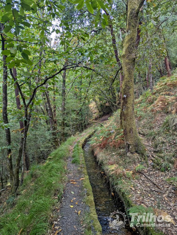 Trilhos dos Soutos e Levada de Canadelo