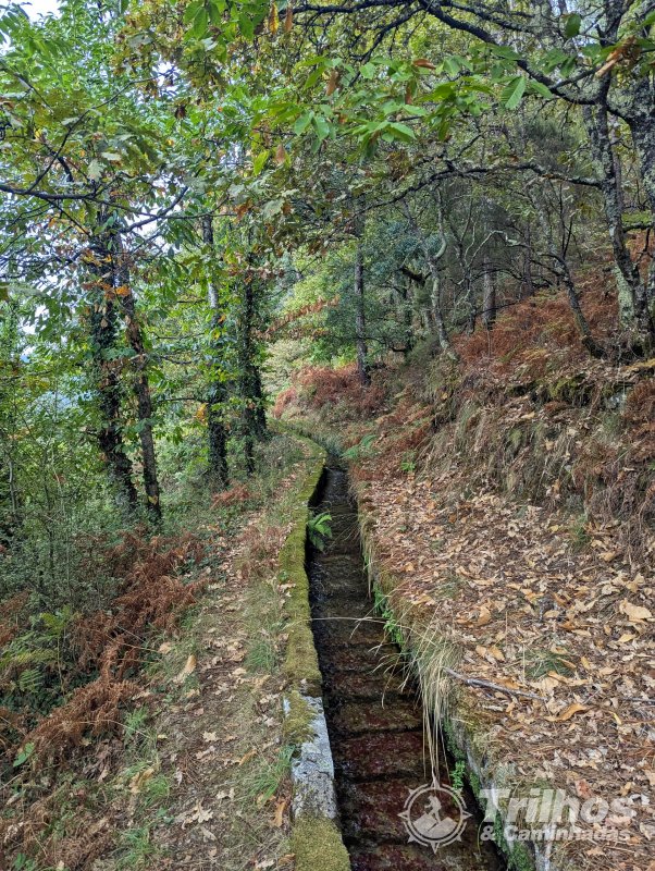 Trilhos dos Soutos e Levada de Canadelo