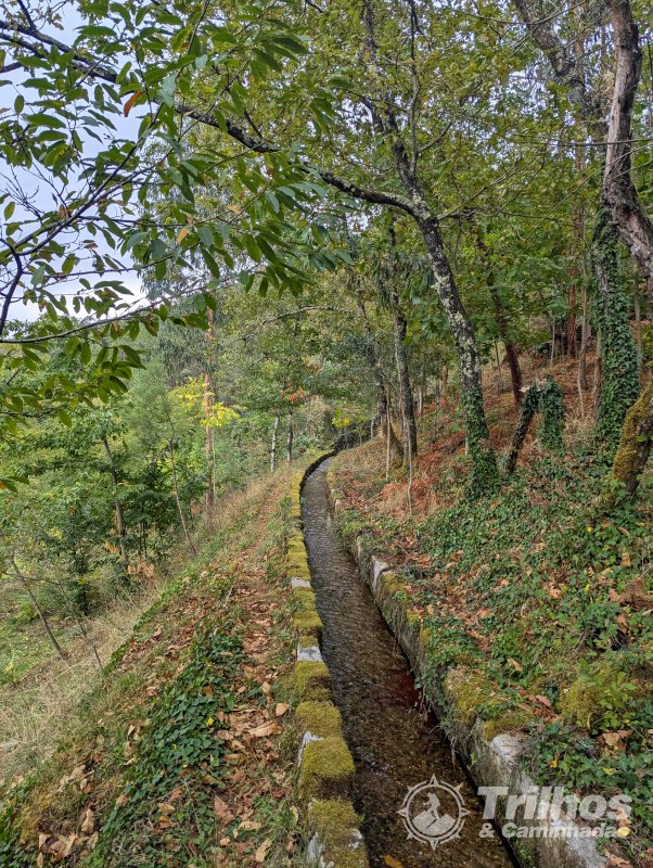 Trilhos dos Soutos e Levada de Canadelo