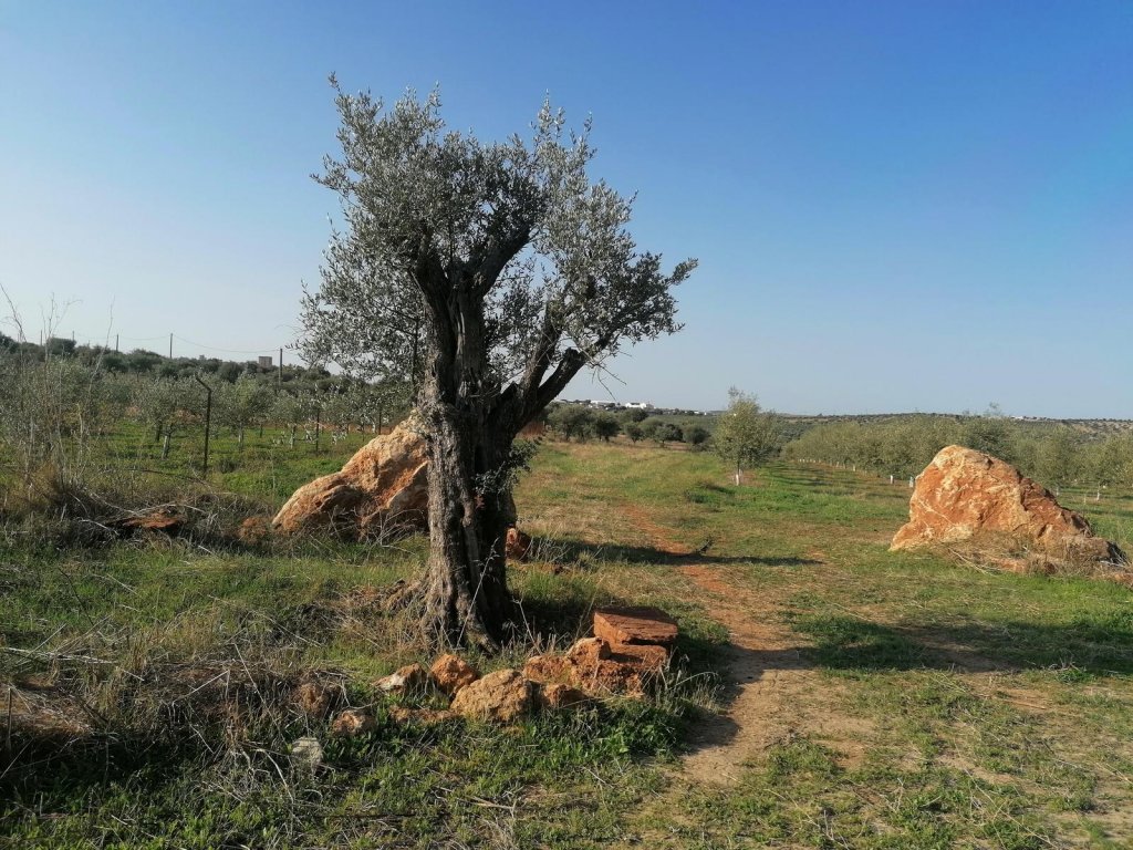 PR2 - Rota da gua de Moura