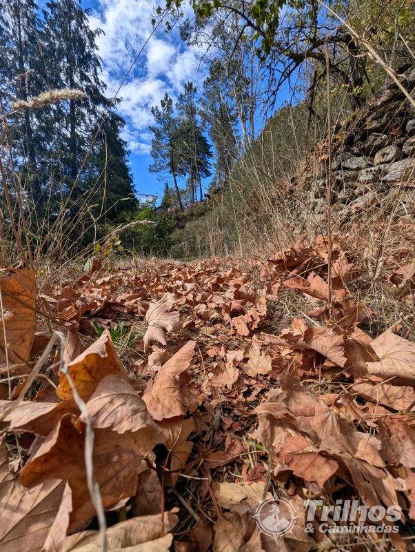 Trilho das Minas da Borralha