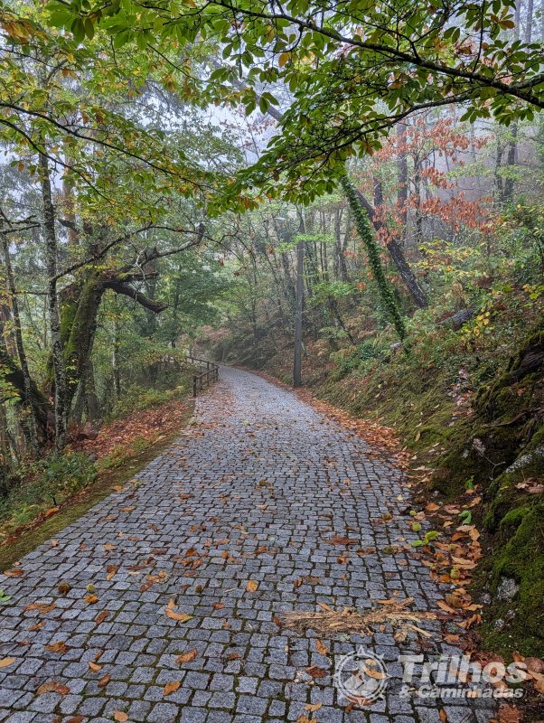 PR10 - Rota da Cania