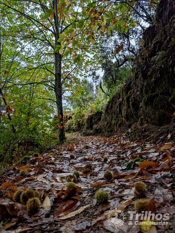 PR10 - Rota da Cania