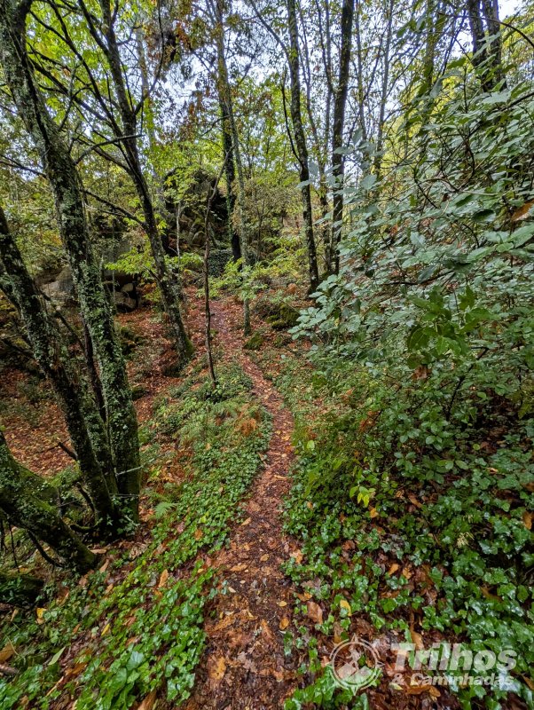 PR10 - Rota da Cania