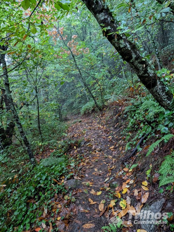 PR10 - Rota da Cania