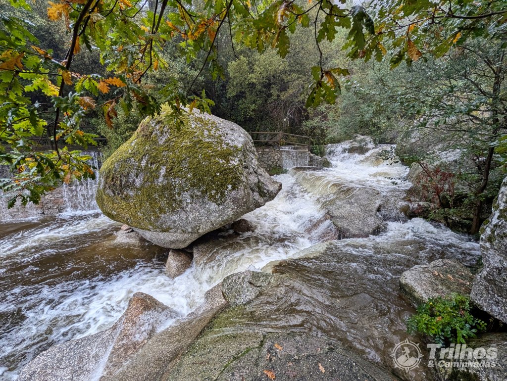 PR10 - Rota da Cania