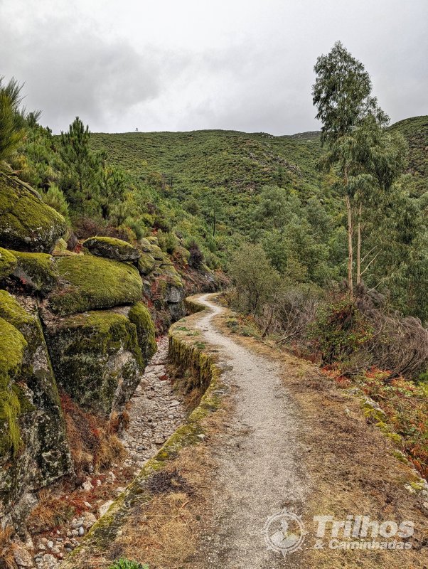 PR10 - Rota da Cania