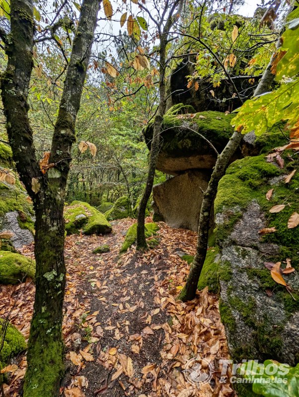 PR10 - Rota da Cania