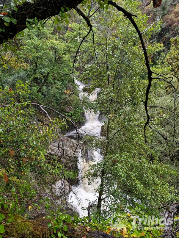 PR10 - Rota da Cania