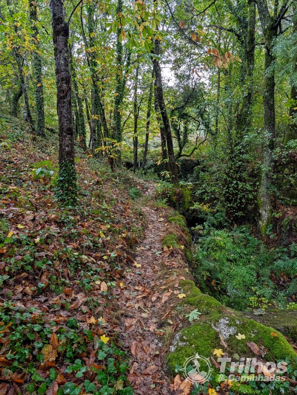 PR10 - Rota da Cania