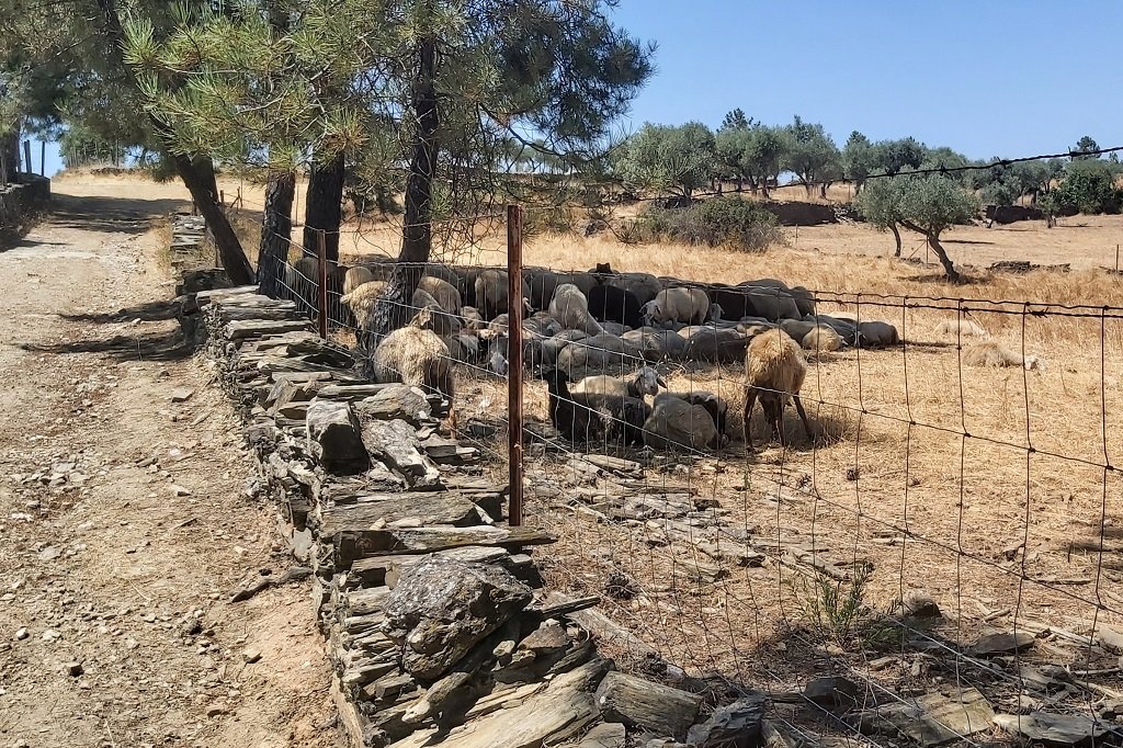 PR7 - Rota das Fontes