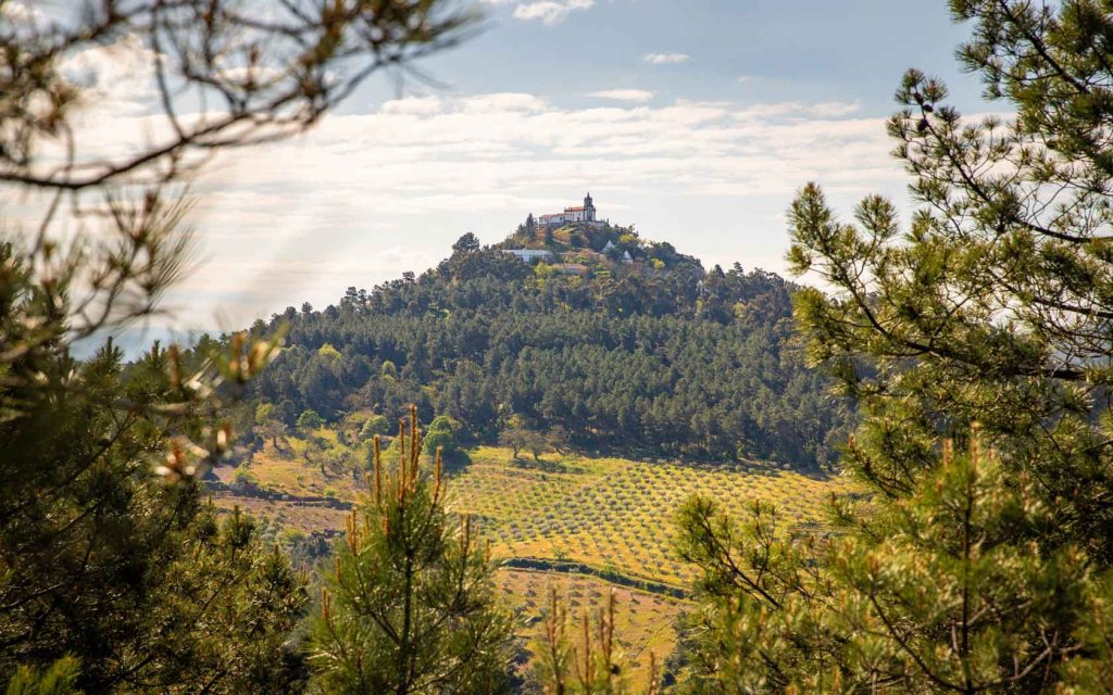 PR5 - Trilho do Poo dos Lobos