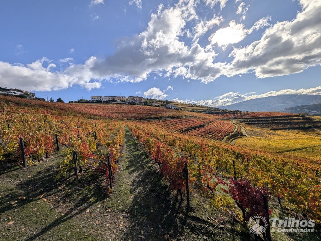 Trilho dos Socalcos de Santa Marta de Penaguio