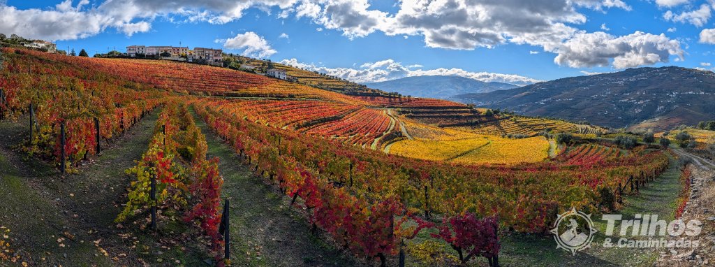 Trilho dos Socalcos de Santa Marta de Penaguio