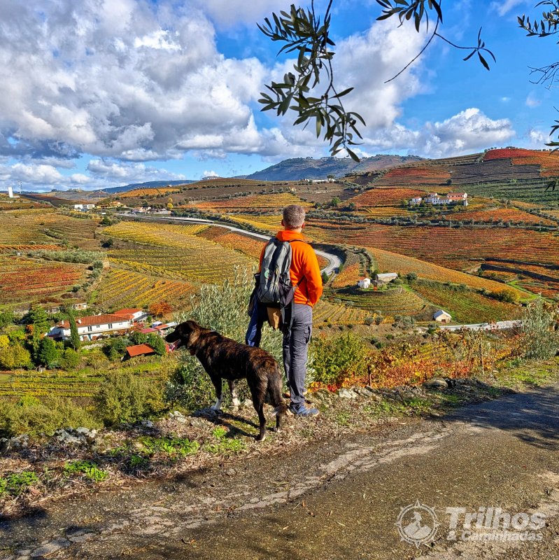 Trilho dos Socalcos de Santa Marta de Penaguio