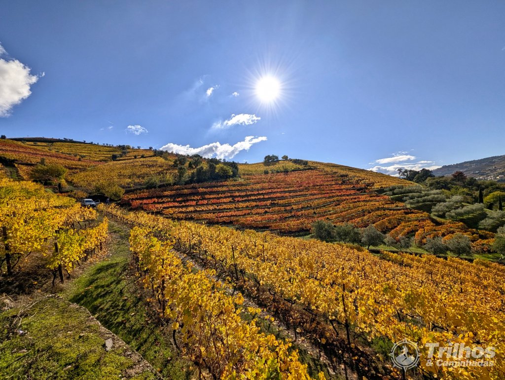 Trilho dos Socalcos de Santa Marta de Penaguio