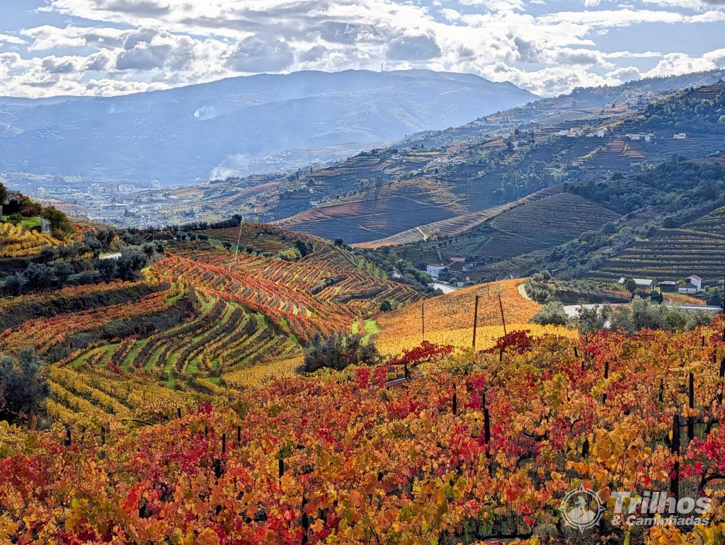 Trilho dos Socalcos de Santa Marta de Penaguio