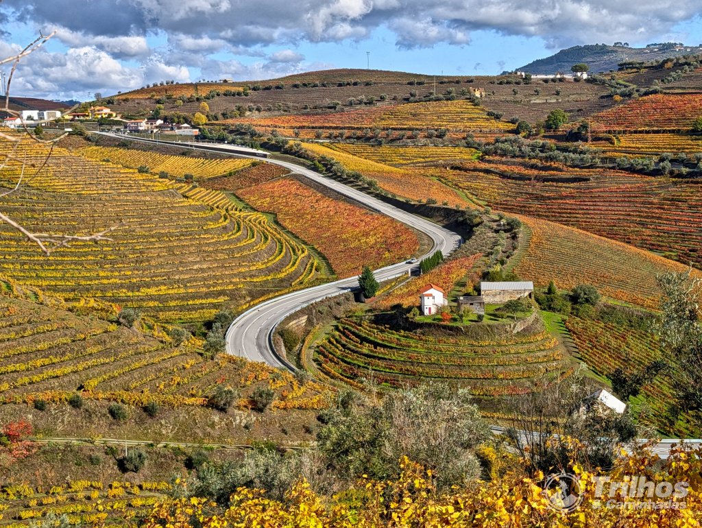Trilho dos Socalcos de Santa Marta de Penaguio