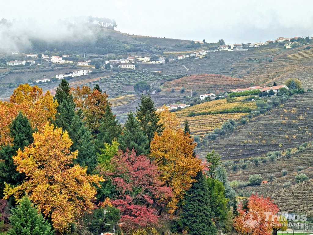 Trilho dos Socalcos de Santa Marta de Penaguio