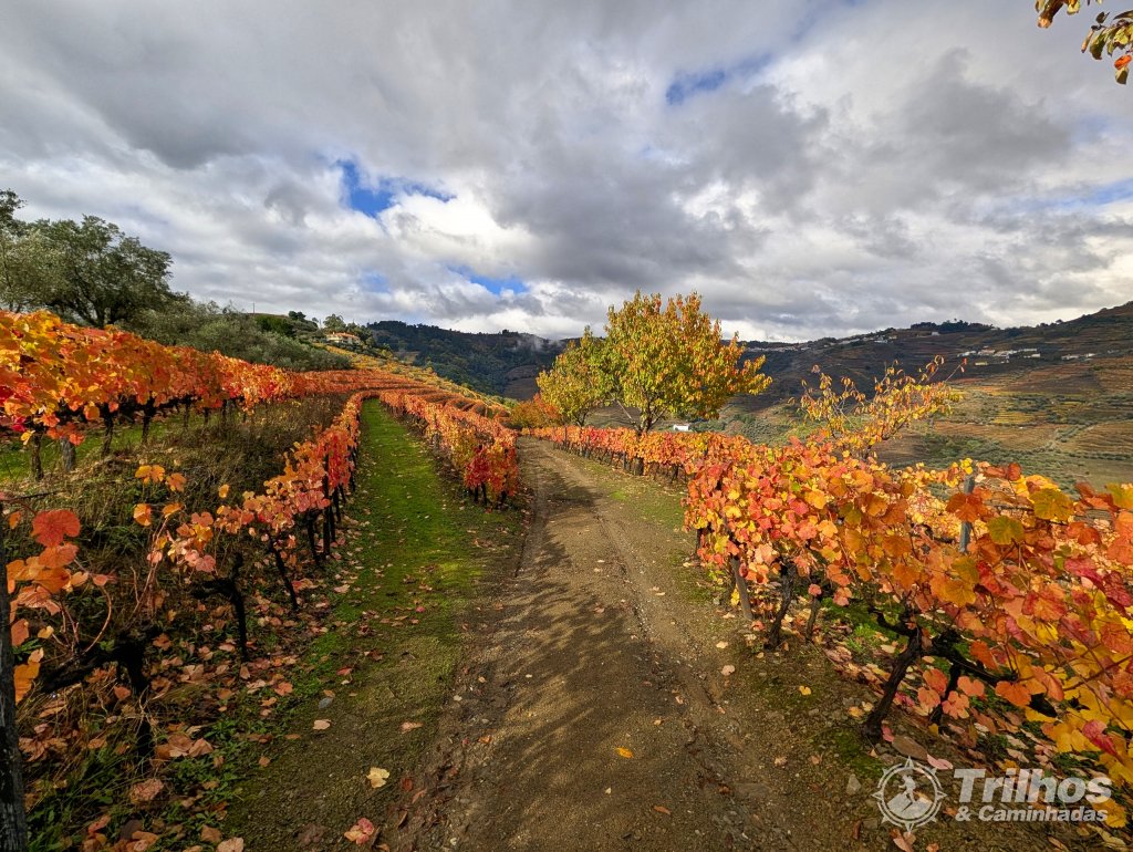 Trilho dos Socalcos de Santa Marta de Penaguio
