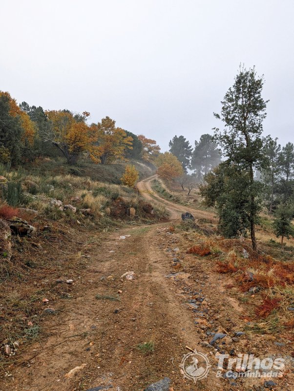 PR5 - Trilho do Po�o dos Lobos