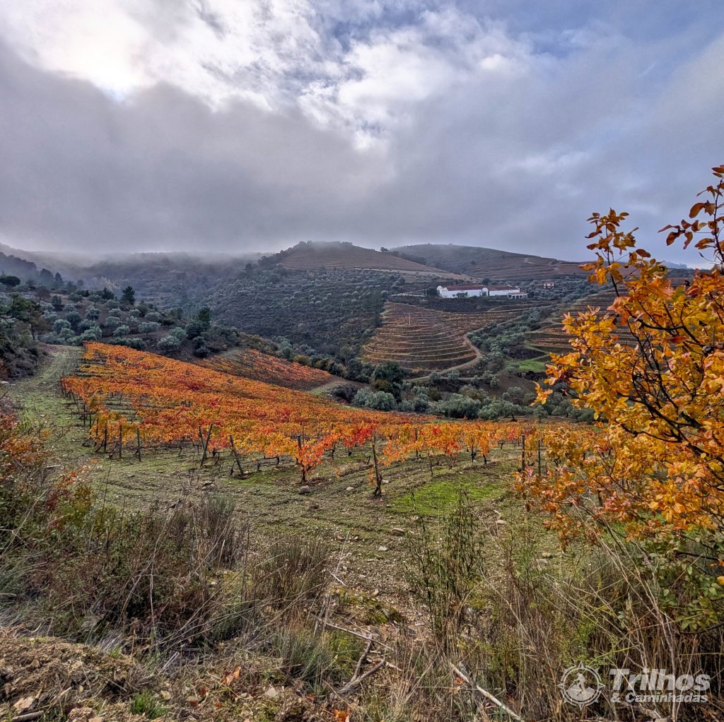 PR5 - Trilho do Po�o dos Lobos