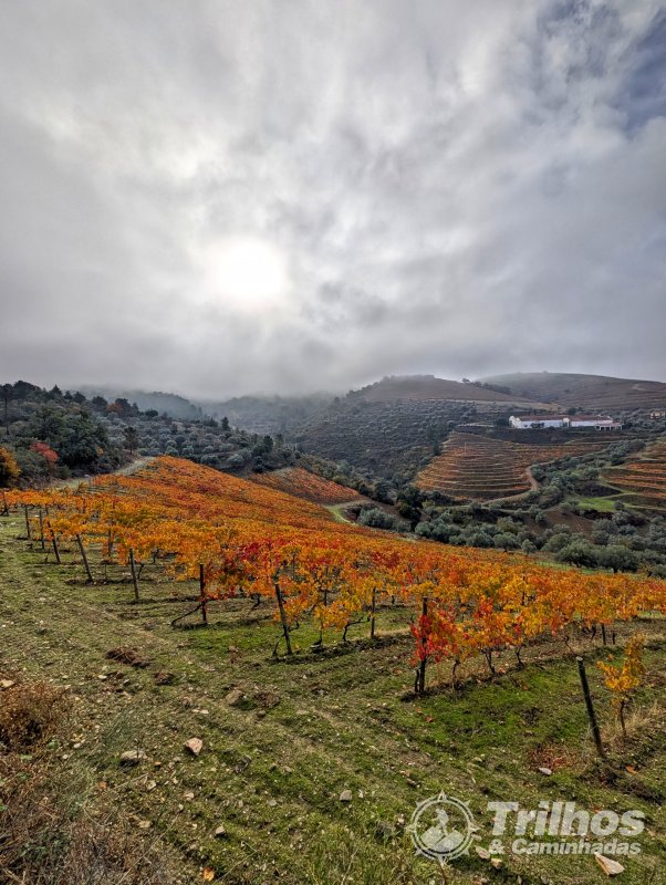 PR5 - Trilho do Po�o dos Lobos