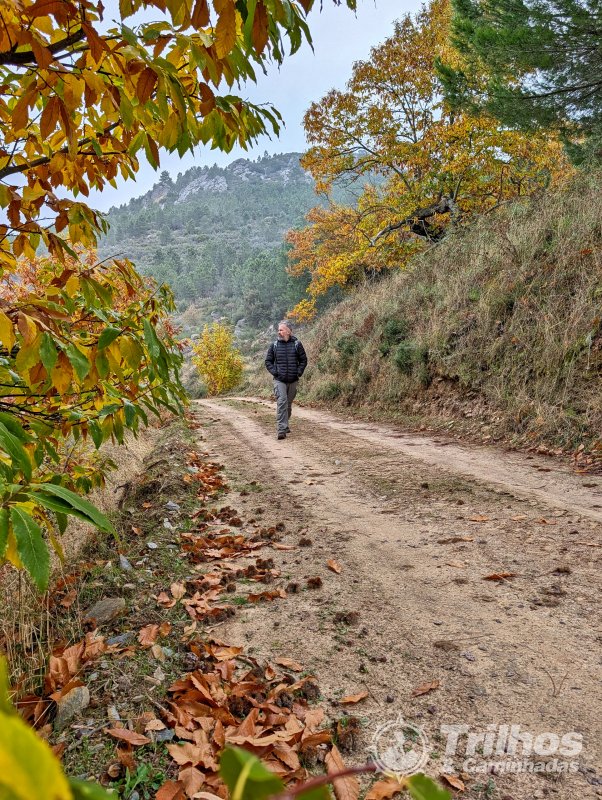 PR5 - Trilho do Po�o dos Lobos