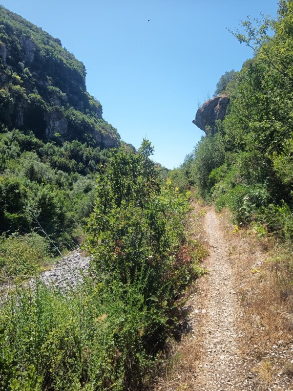 P7 - O Canh�o do Vale do Poio