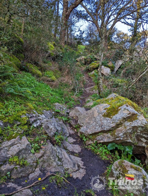 PR10 - Trilho de Moinhos de S�o Louren�o