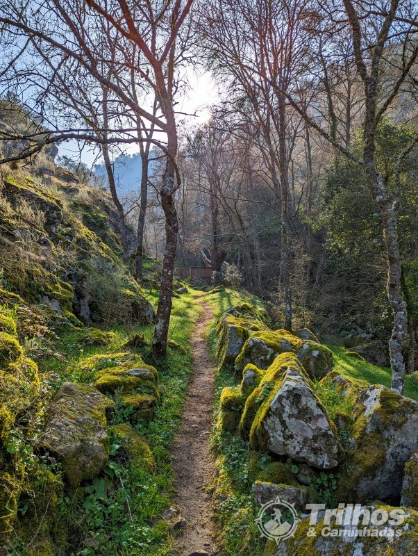 PR10 - Trilho de Moinhos de S�o Louren�o