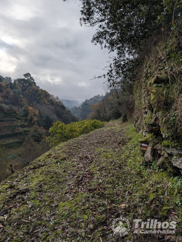 PR1 - Trilho de Cidadelhe