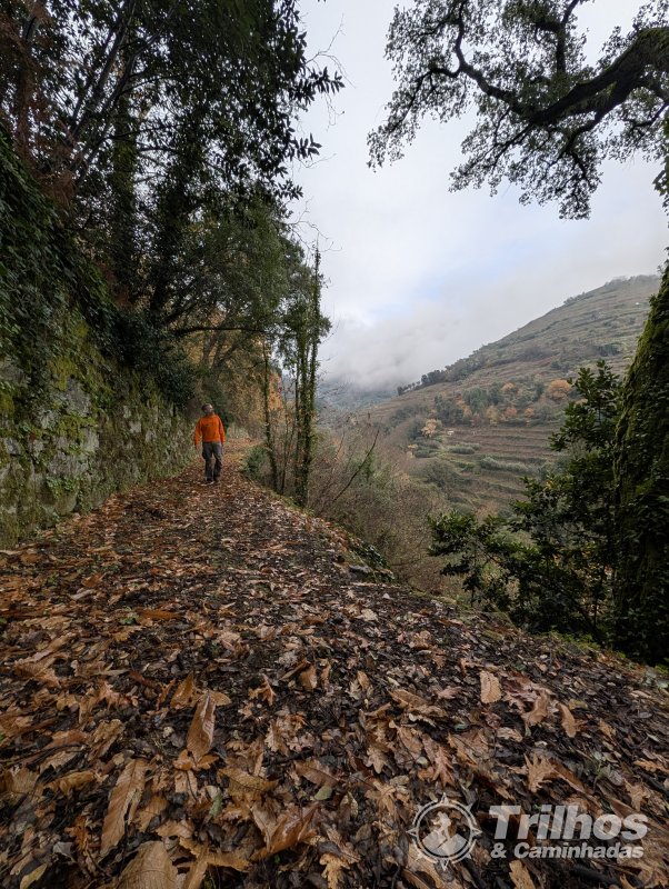 PR1 - Trilho de Cidadelhe