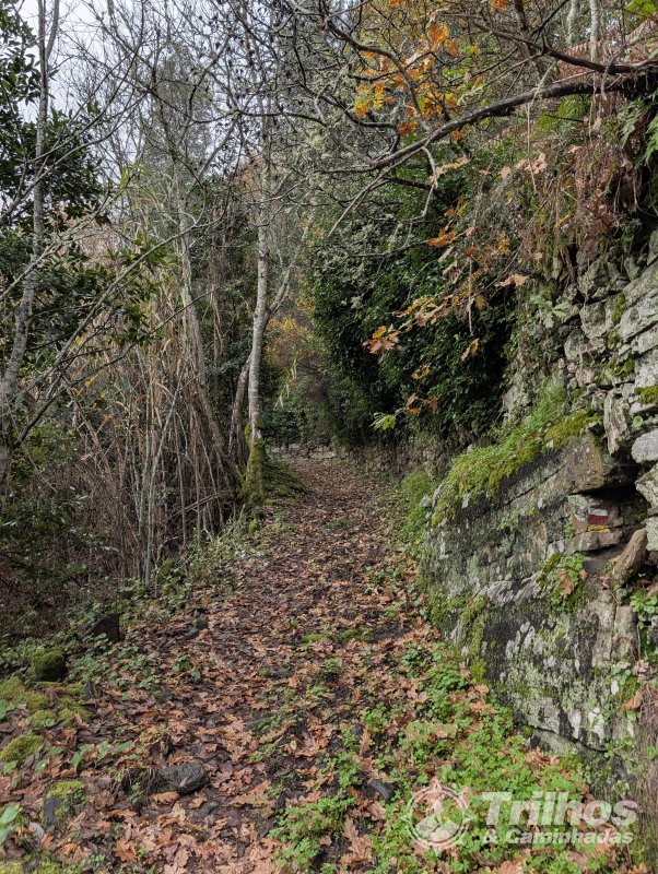 PR1 - Trilho de Cidadelhe