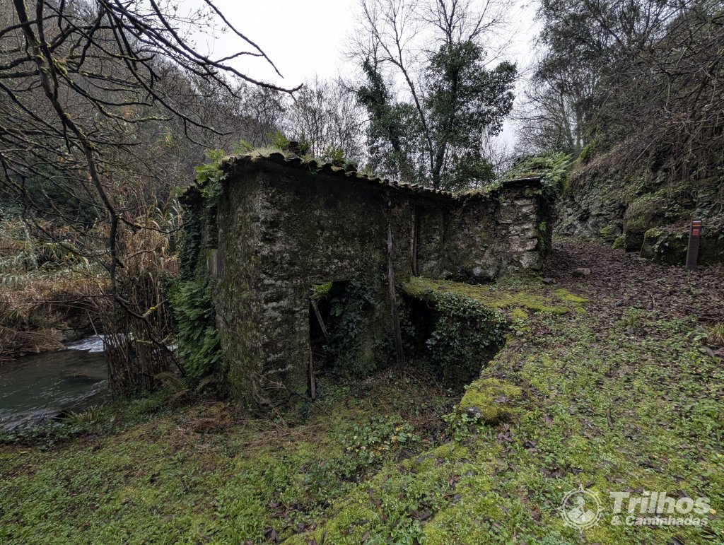 PR1 - Trilho de Cidadelhe