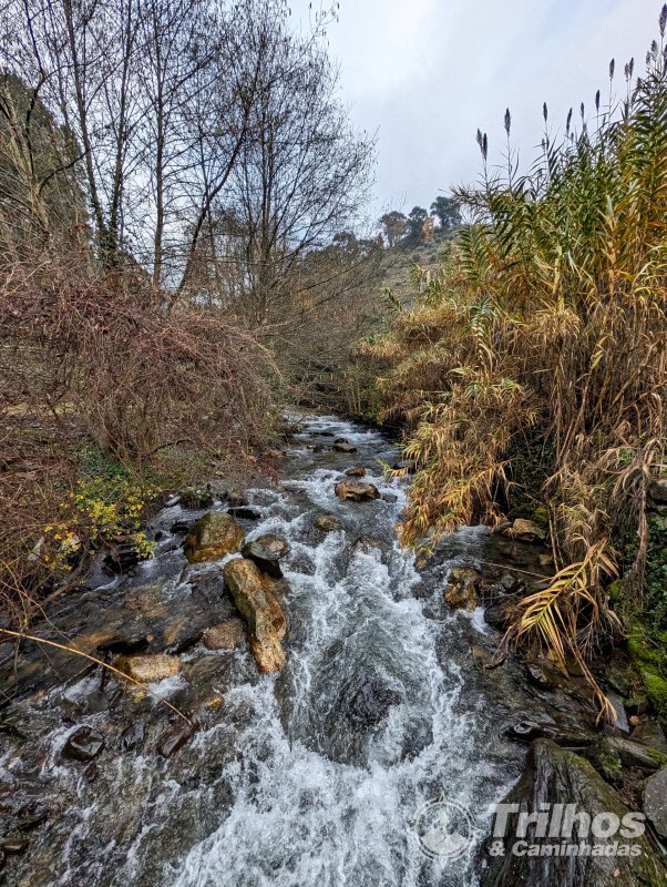 PR2 - Trilho de Oliveira