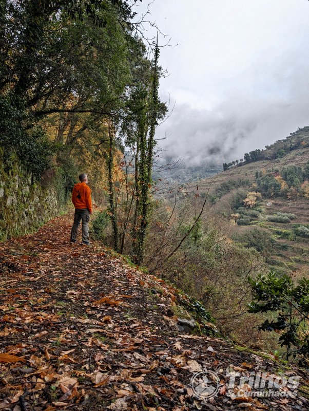 PR2 - Trilho de Oliveira