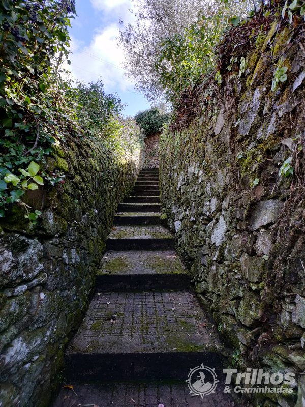 PR8 - Trilho de Santo Andr�