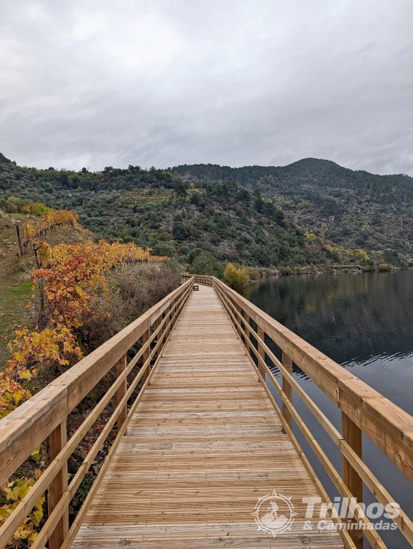 Passadi�os da Ribeira de S�o Mamede de Ribatua - Circular ( curto )