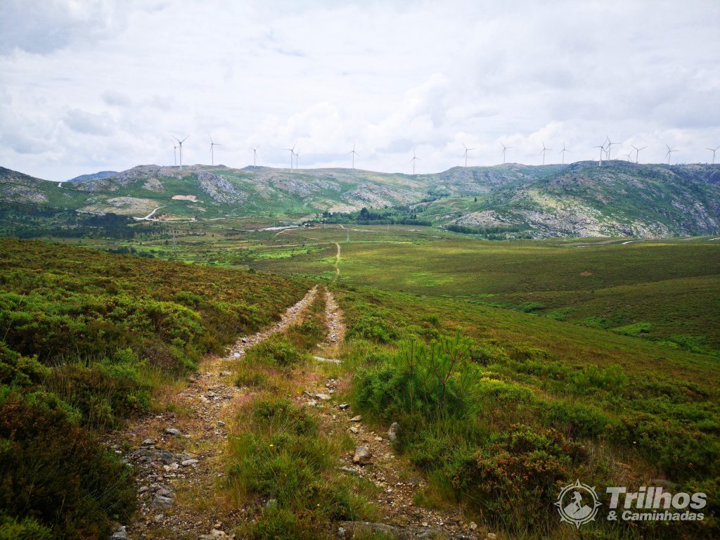Trilho dos Incas - Circular ( curto )