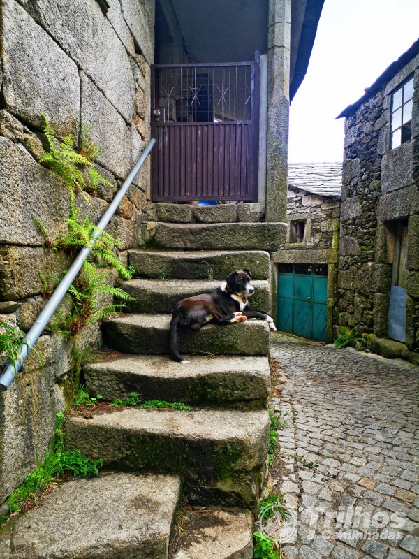 Trilho dos Incas - Circular ( curto )