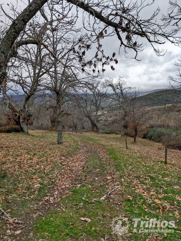 Por Caminhos da Terra Fria em Vila Boa de Ousilh�o