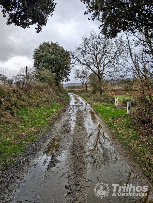 Por Caminhos da Terra Fria em Vila Boa de Ousilh�o