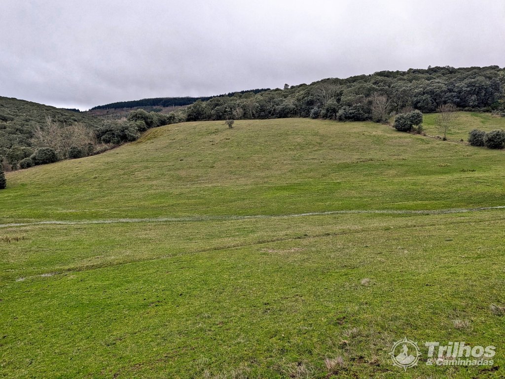 Por Caminhos da Terra Fria em Vila Boa de Ousilh�o