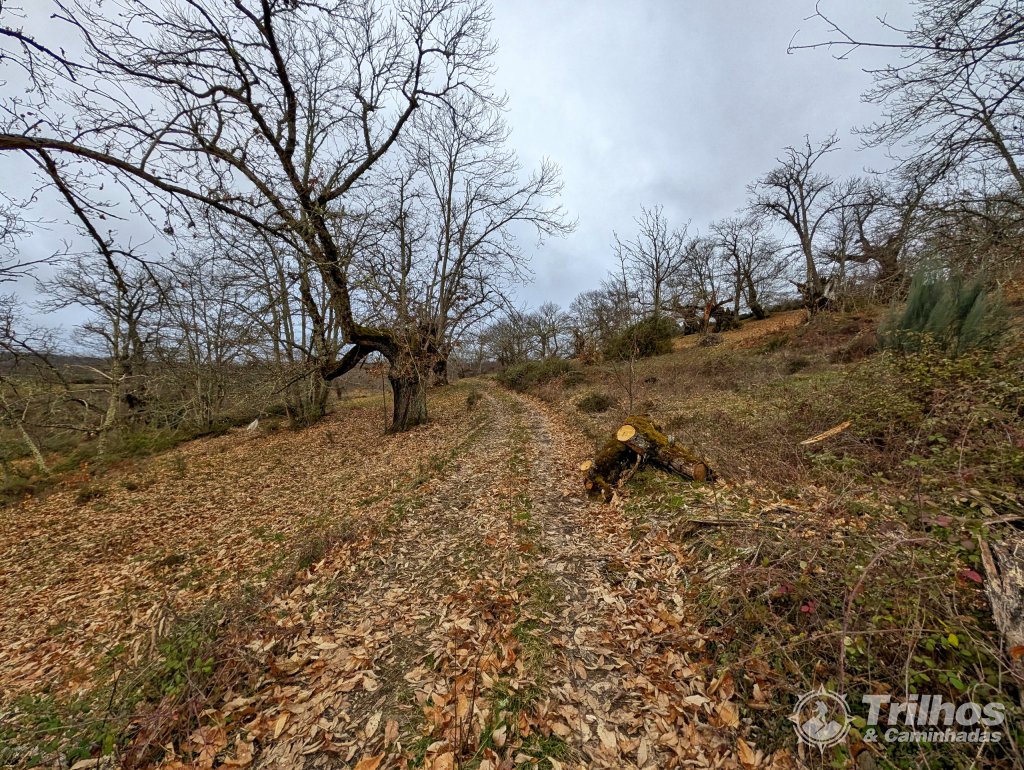 Por Caminhos da Terra Fria em Vila Boa de Ousilh�o