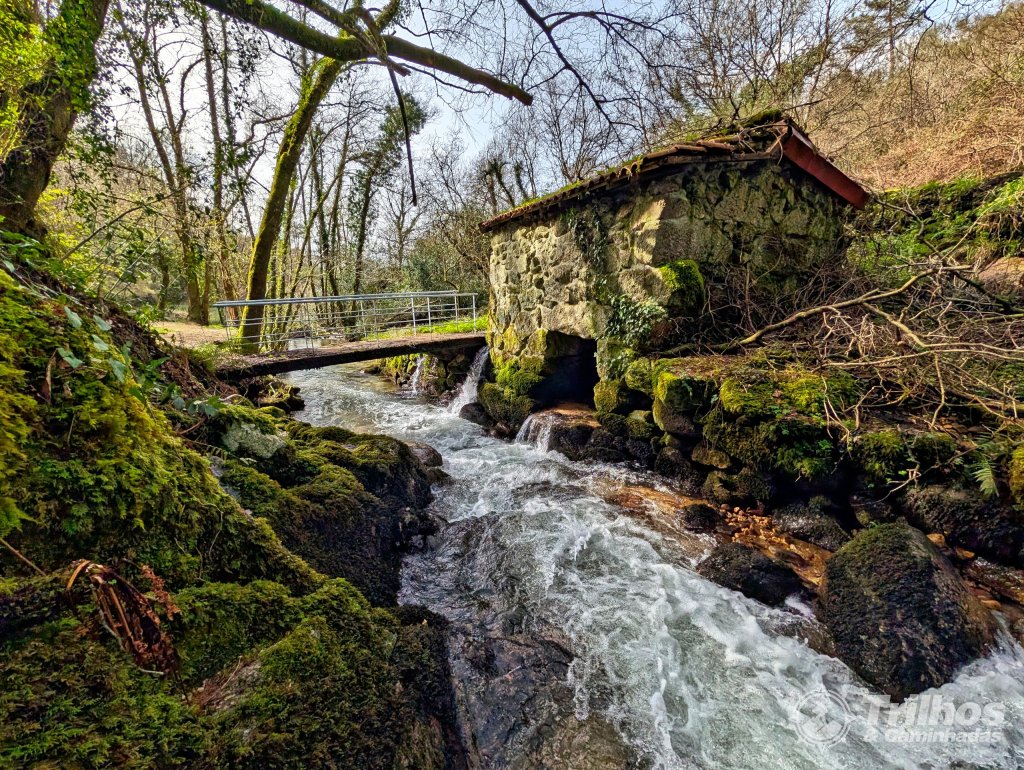 Trilho dos Moinhos de Argontim ( circular )
