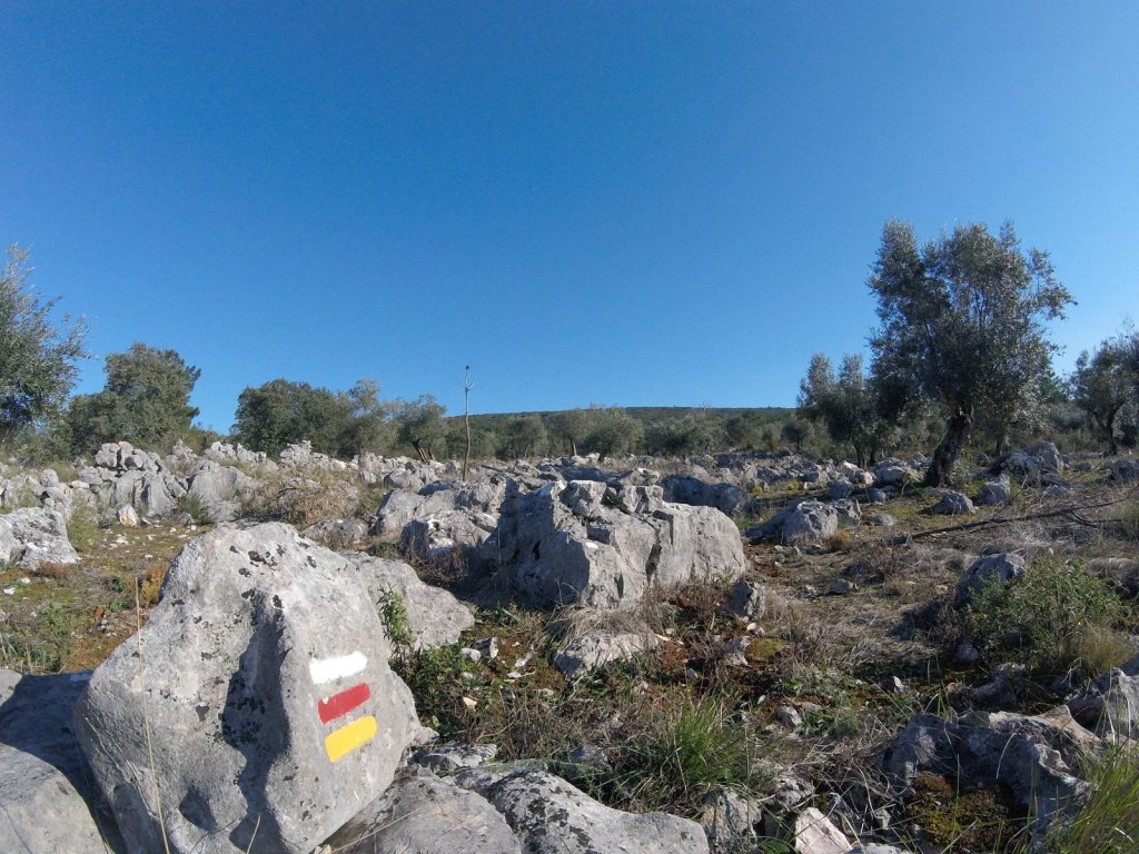 PR2 - Encantos do Vale da Mata