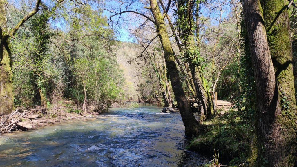 PR7 - Rota Dona Maria