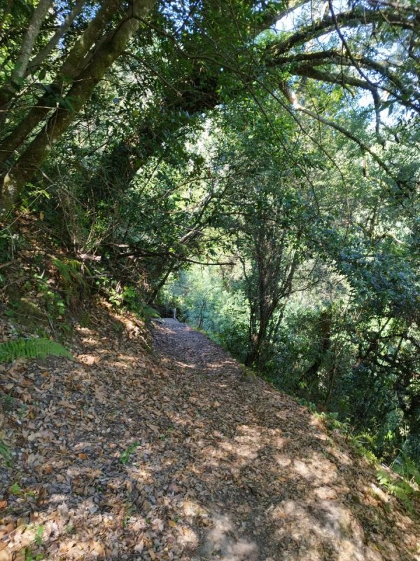 PR7 - Rota Dona Maria